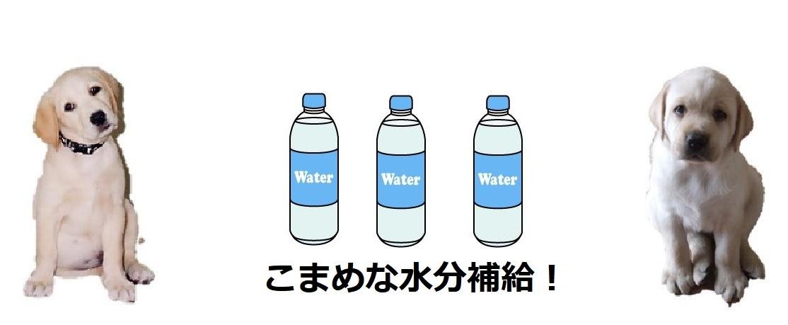 水分補給